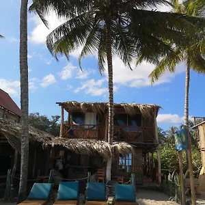  Pensión Palmarío Hostal Colombia